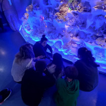 Экскурсия в Музей Мирового океана.