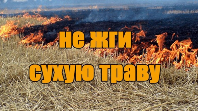 «Не жги траву!».
